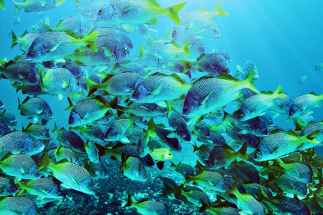 10 Exclusive Adventures You Can Only Experience in Costa Rica